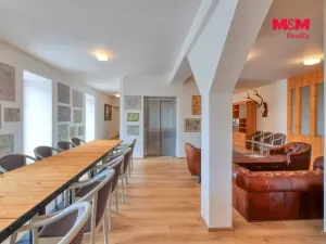 Prodej rodinného domu, Manětín - Rabštejn nad Střelou, 1250 m2