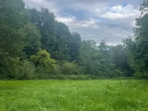 Prodej pozemku pro bydlení, Jedlá, 2598 m2
