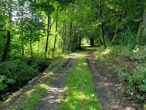 Prodej pozemku pro bydlení, Jedlá, 2598 m2