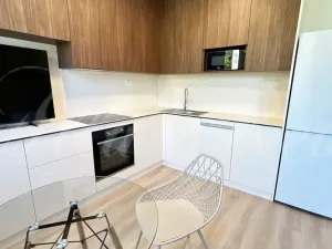 Pronájem bytu 1+kk, Brno - Štýřice, Sovinec, 30 m2
