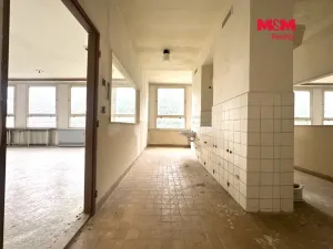 Prodej obchodního prostoru, Žatec, 900 m2