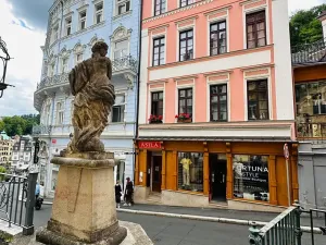 Pronájem apartmánu, Karlovy Vary, Zámecký vrch, 200 m2