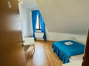 Pronájem apartmánu, Karlovy Vary, Zámecký vrch, 200 m2