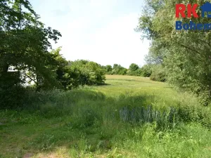 Prodej pozemku pro bydlení, Cholenice, 16365 m2