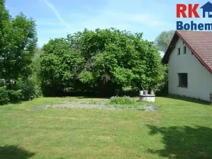 Prodej pozemku pro bydlení, Cholenice, 16365 m2