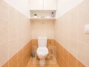 Pronájem bytu 1+kk, Rajhrad, 50 m2