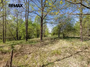 Prodej pozemku pro bydlení, Rapšach, 8139 m2