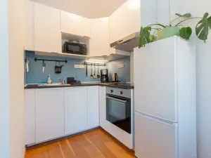Pronájem bytu 2+kk, Praha - Vinohrady, Perucká, 40 m2