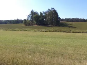 Dražba louky, Srby, 2383 m2
