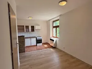 Pronájem bytu 1+kk, Český Brod, Želivského, 52 m2