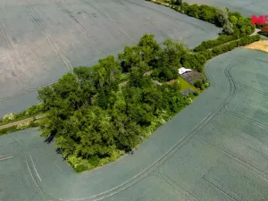 Prodej lesa, Libochovice - Dubany, 8199 m2
