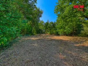 Prodej zahrady, Velký Bor - Slivonice, 2248 m2
