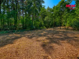 Prodej zahrady, Velký Bor - Slivonice, 2248 m2