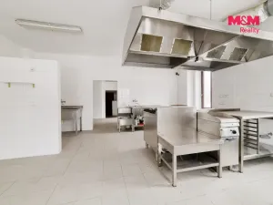 Prodej rodinného domu, Stráž nad Ohří - Boč, 500 m2