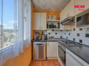 Prodej bytu 4+1, Heřmanova Huť - Vlkýš, Sídliště, 87 m2