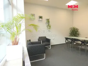 Pronájem obchodního prostoru, Ostrava - Mariánské Hory, 28. října, 40 m2