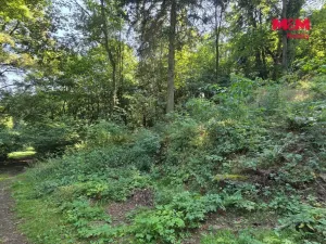 Prodej pozemku, Šemnice, 20949 m2