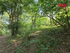 Prodej pozemku, Šemnice, 20949 m2