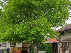 Prodej chaty, Nýřany - Doubrava, 26 m2