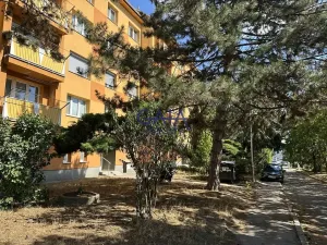Prodej bytu 1+1, Hodonín, Brandlova, 39 m2