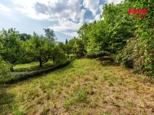Prodej zahrady, Děčín, Mendelova, 793 m2