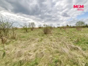 Prodej pozemku pro bydlení, Františkovy Lázně - Žírovice, 3247 m2