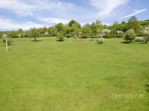 Prodej pozemku, Velká Bukovina, 6600 m2