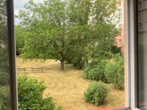 Prodej bytu 2+1, Plzeň, Mohylová, 63 m2