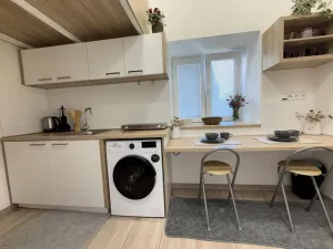 Prodej bytu 1+kk, Opava - Předměstí, Alšova, 15 m2