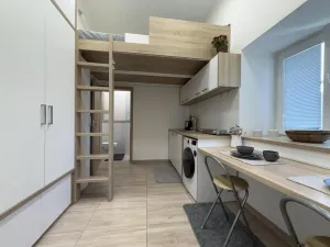 Prodej bytu 1+kk, Opava - Předměstí, Alšova, 15 m2