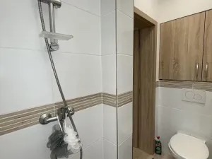 Prodej bytu 1+kk, Opava - Předměstí, Alšova, 15 m2