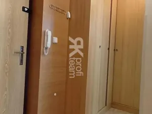 Pronájem bytu 1+1, Ostrava, Lužická, 39 m2