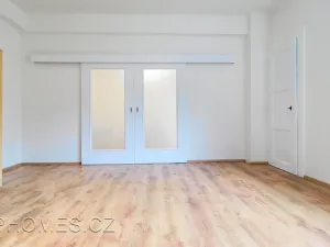 Pronájem bytu 2+kk, Praha - Žižkov, Biskupcova, 46 m2
