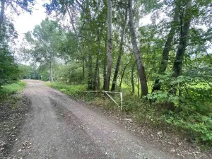 Prodej louky, Nové Hrady - Štiptoň, 6751 m2