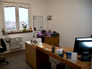 Pronájem bytu 3+1, Olomouc - Holice, Ječmínkova, 61 m2