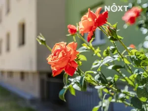 Prodej bytu 1+1, Hluboká nad Vltavou, Nerudova, 33 m2
