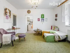 Prodej bytu 3+1, České Budějovice, Loucká, 58 m2
