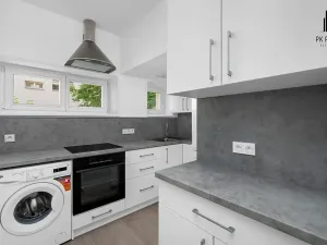 Prodej bytu 2+kk, Brno, Renneská třída, 47 m2