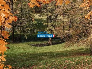 Pronájem bytu 4+1, Zlaté Hory, 170 m2
