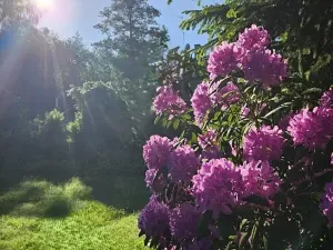 Prodej rodinného domu, Pila, 220 m2