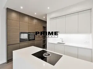 Pronájem bytu 3+kk, Praha - Vinohrady, Laubova, 95 m2