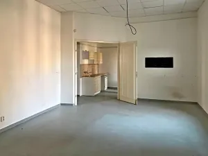 Pronájem obchodního prostoru, Brno, Štefánikova, 110 m2