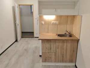 Pronájem bytu 1+kk, Praha - Hlubočepy, Na Zlíchově, 18 m2