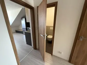 Pronájem bytu 2+kk, Brno, Letní, 56 m2