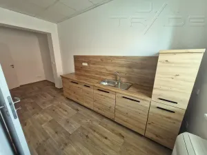 Prodej obchodního prostoru, Znojmo, Vídeňská třída, 5100 m2