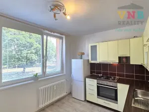 Prodej bytu 1+1, Prostějov, Libušinka, 33 m2