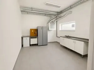 Prodej obchodního prostoru, Hodonín, 100 m2