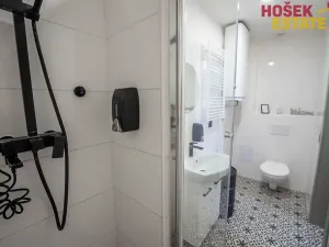 Prodej bytu 1+kk, Dolní Dunajovice, Hlavní, 18 m2