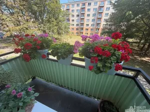 Prodej bytu 2+1, Kladno, Pařížská, 63 m2