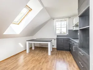 Prodej vícegeneračního domu, Mladá Boleslav, Viničná, 266 m2